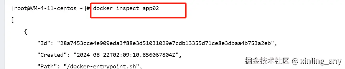 image-20240822101025705