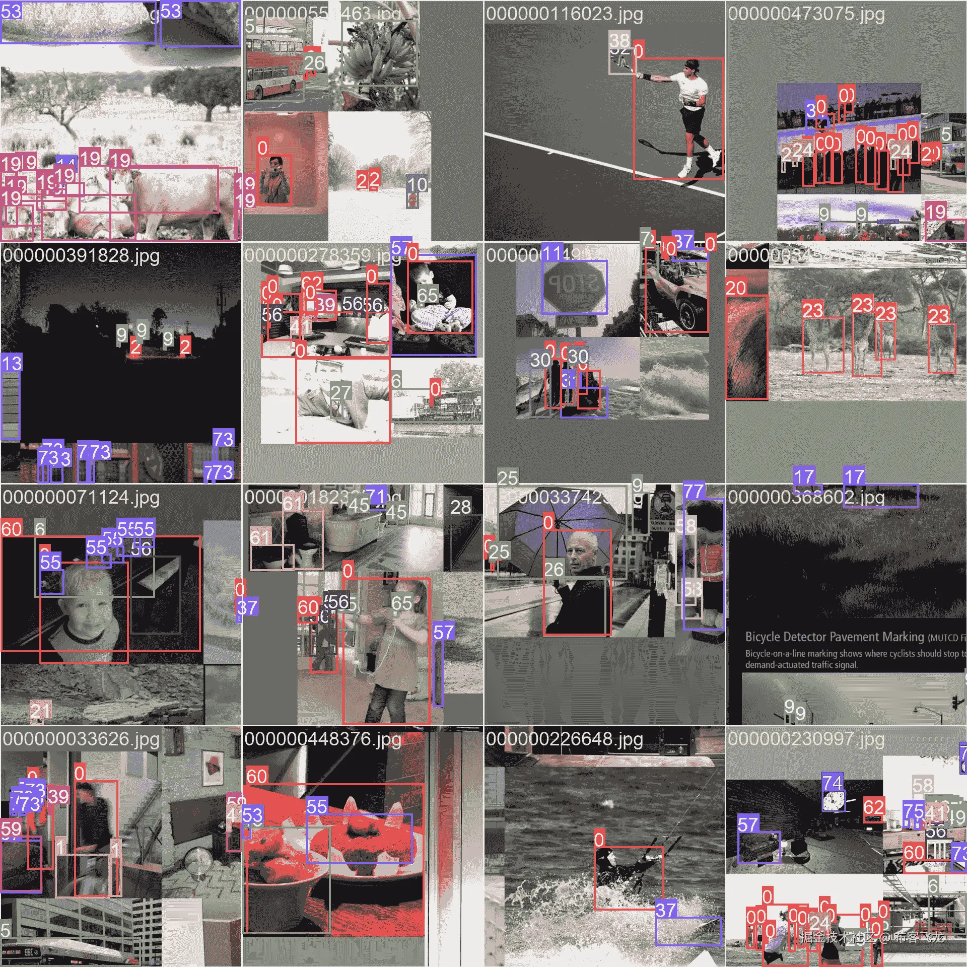 数据集示例图片