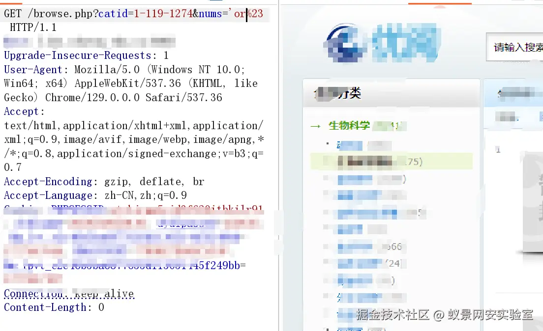 image-20241001012334411