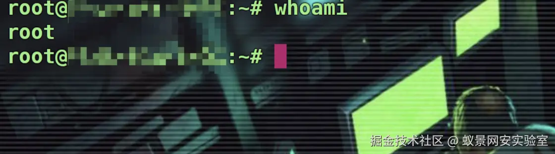 image-20250501165649923