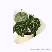 4.png