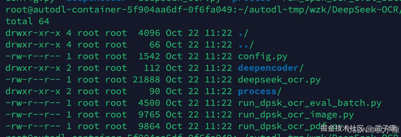 DeepSeek-OCR 对应目录
