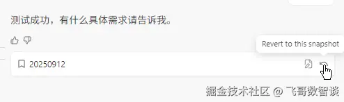 Windsurf 手动创建的 snapshot