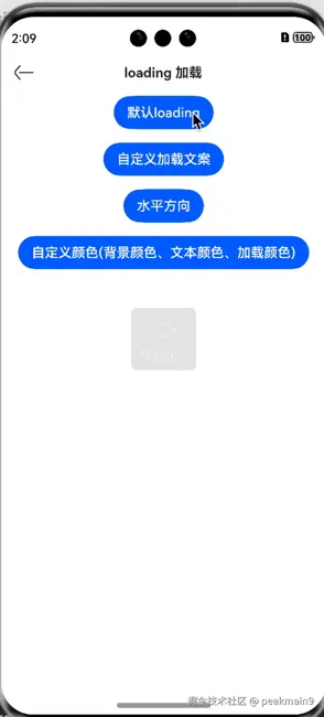 Loading加载