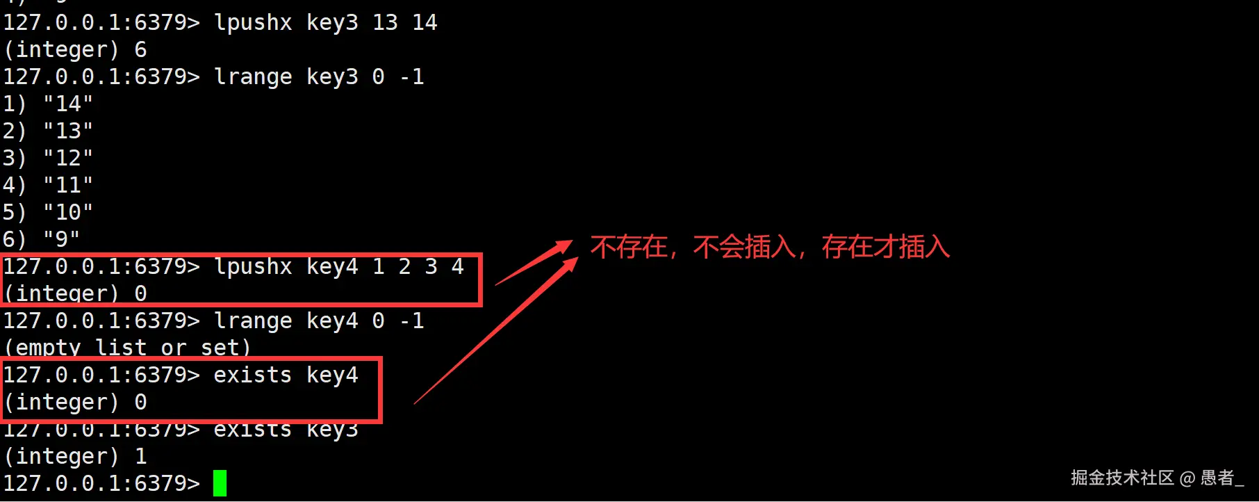 image-20240704144239679