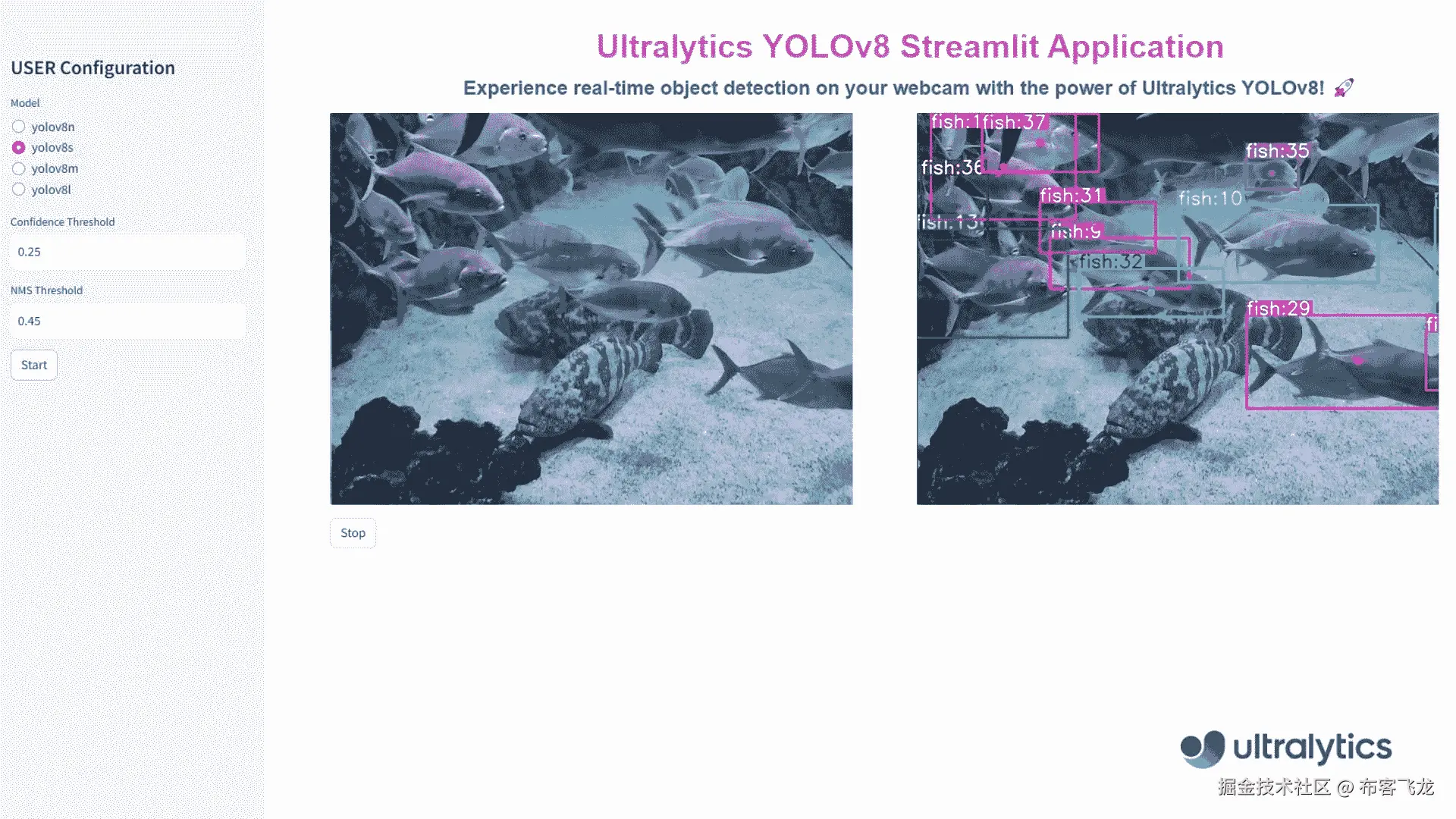 使用 Ultralytics YOLOv8 进行鱼类检测