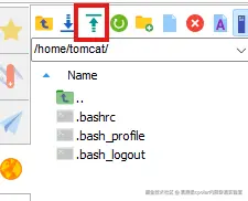 image-20250826154451234