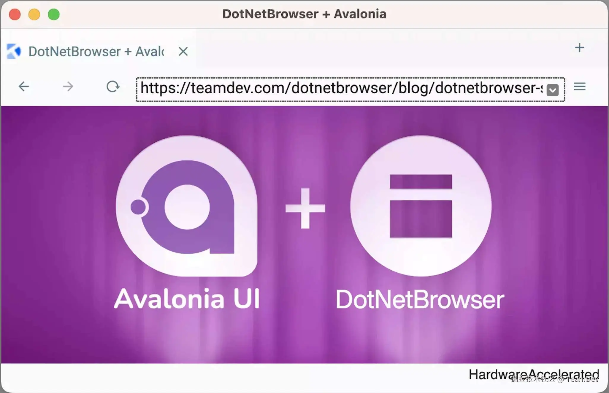 macOS 上的 Avalonia 应用与 DotNetBrowser 集成