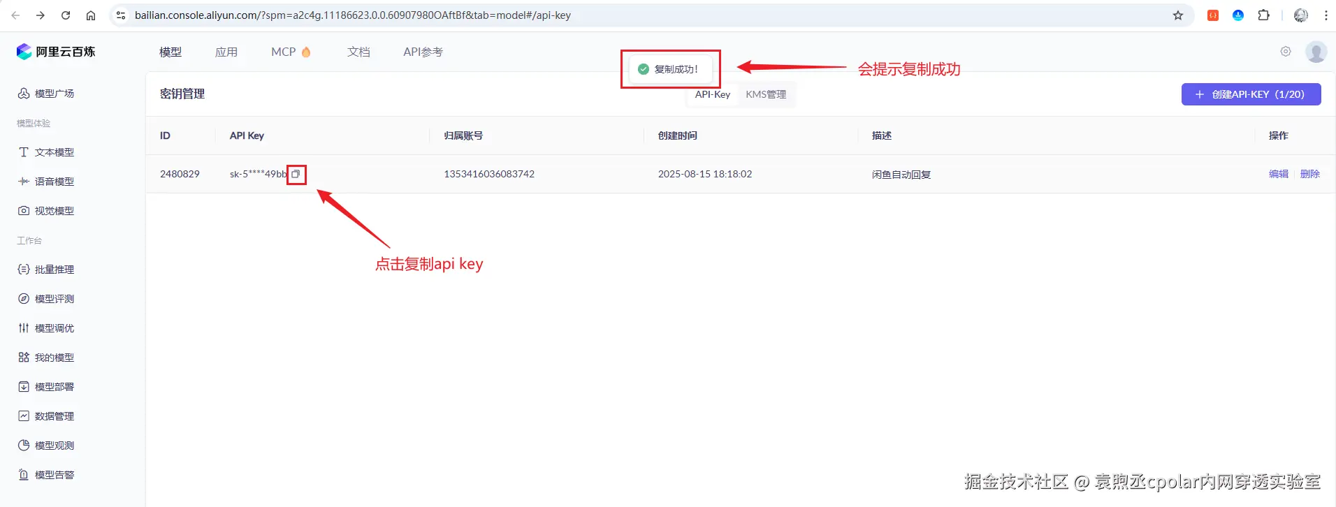 image-20250818100131402