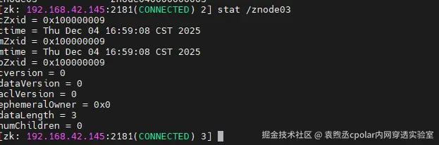image-20251204170310662