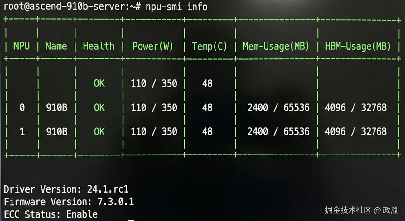 图2：npu-smi运行截图