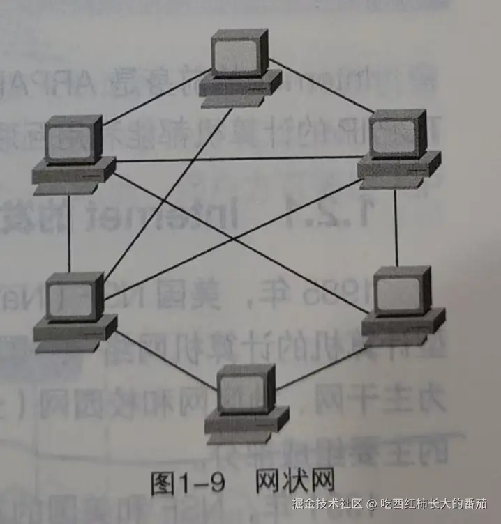 网状网.jpg