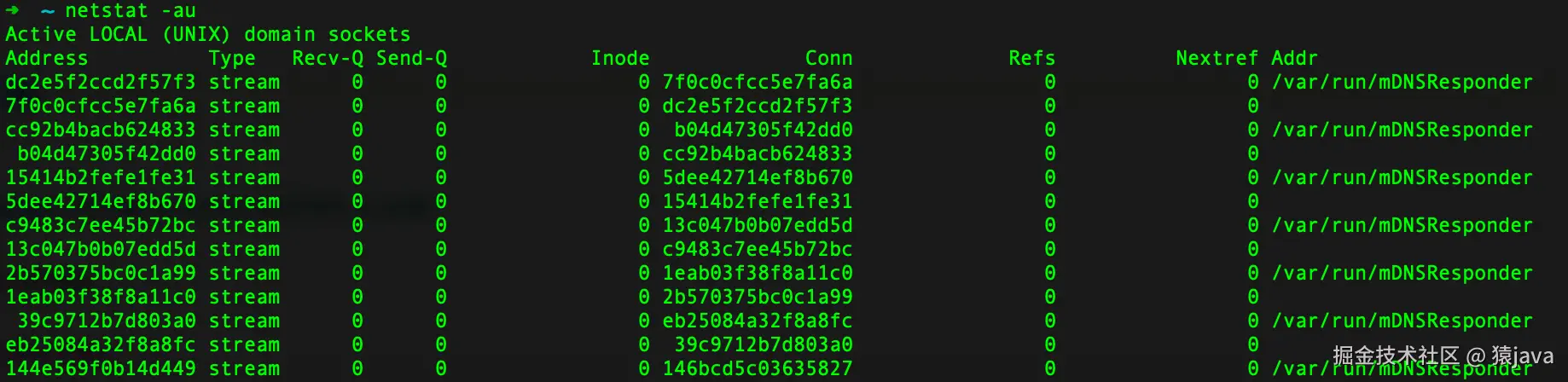 netstat-3.png