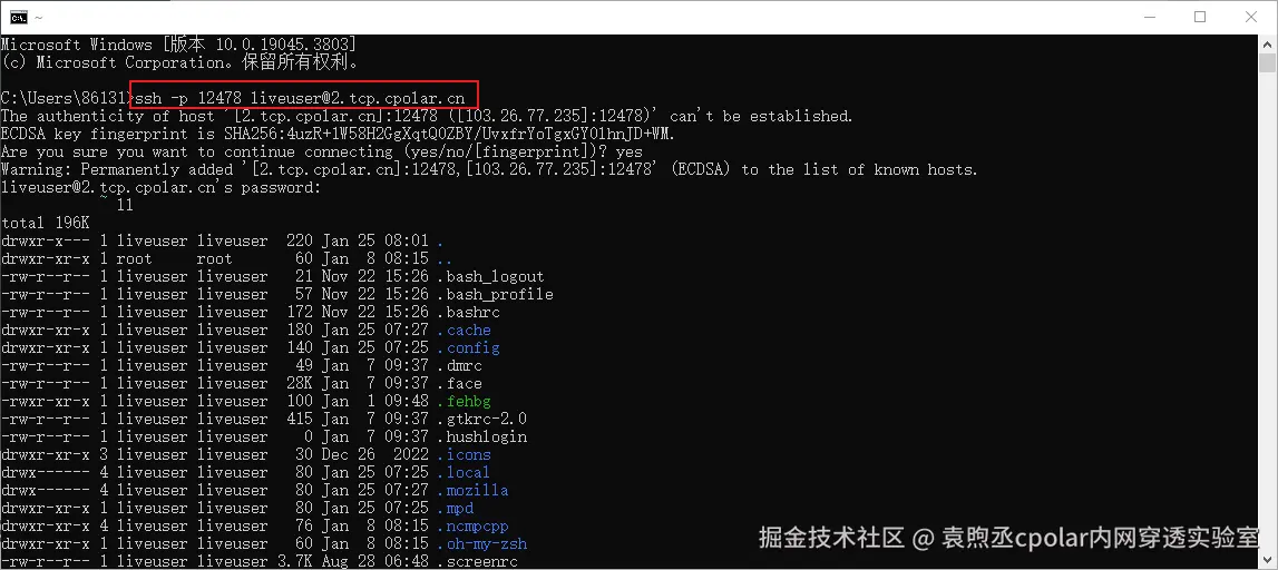 image-20240125160146691