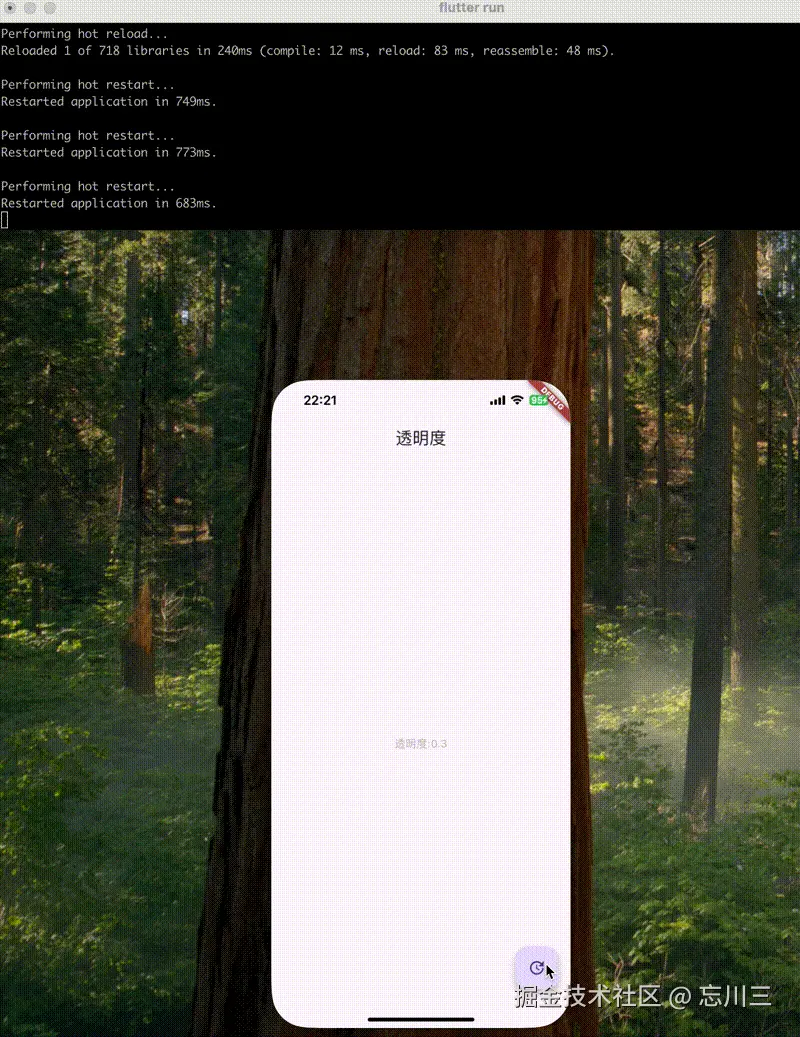 20252222.gif