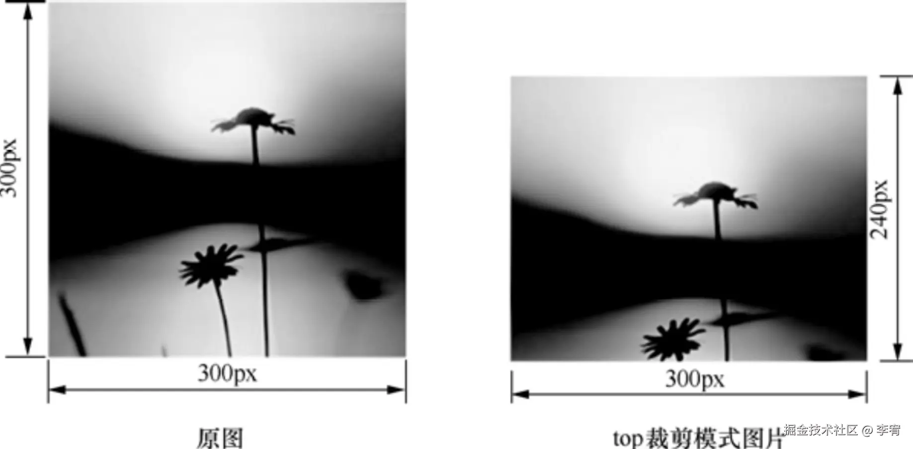 image-20240906133019225