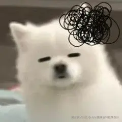 00400085.jpg