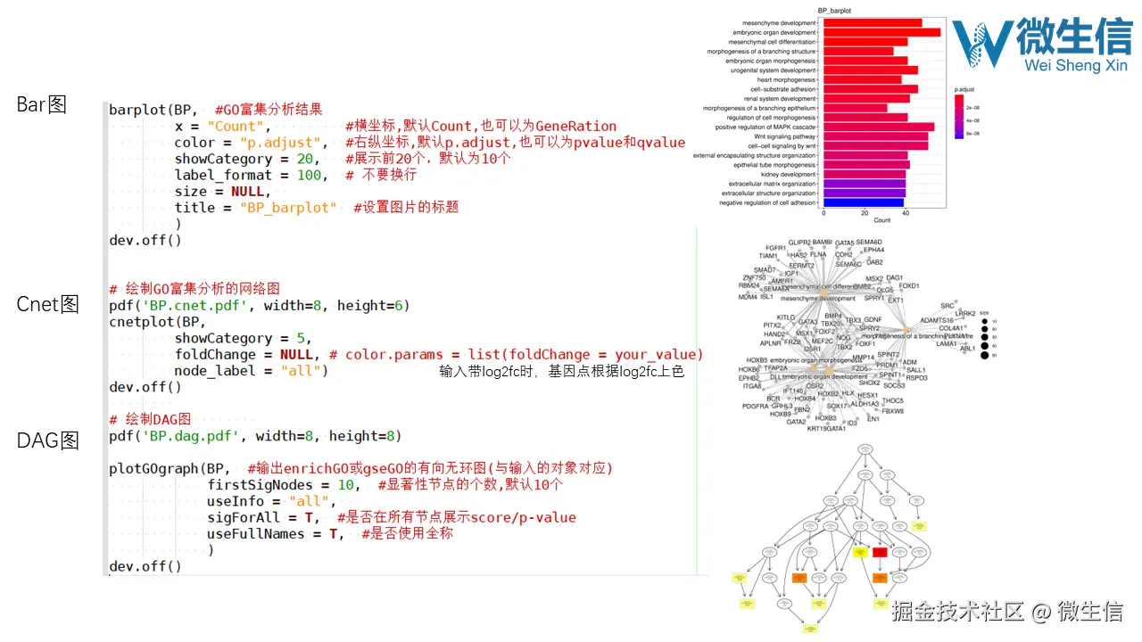 幻灯片12.PNG