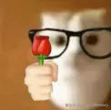 送花.png