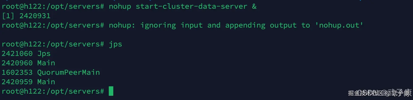 节点2 Druid 启动