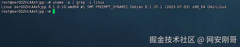 image-20250319154220493