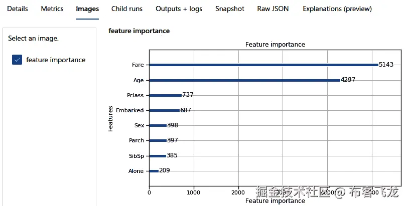 图 9.7 – 特征重要性