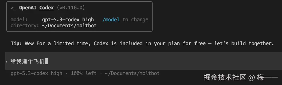 codex Vibe Coding
