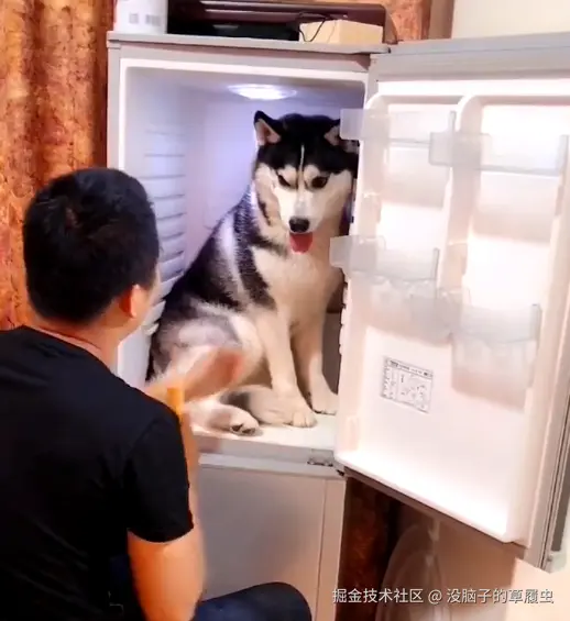 狗在冰箱.png