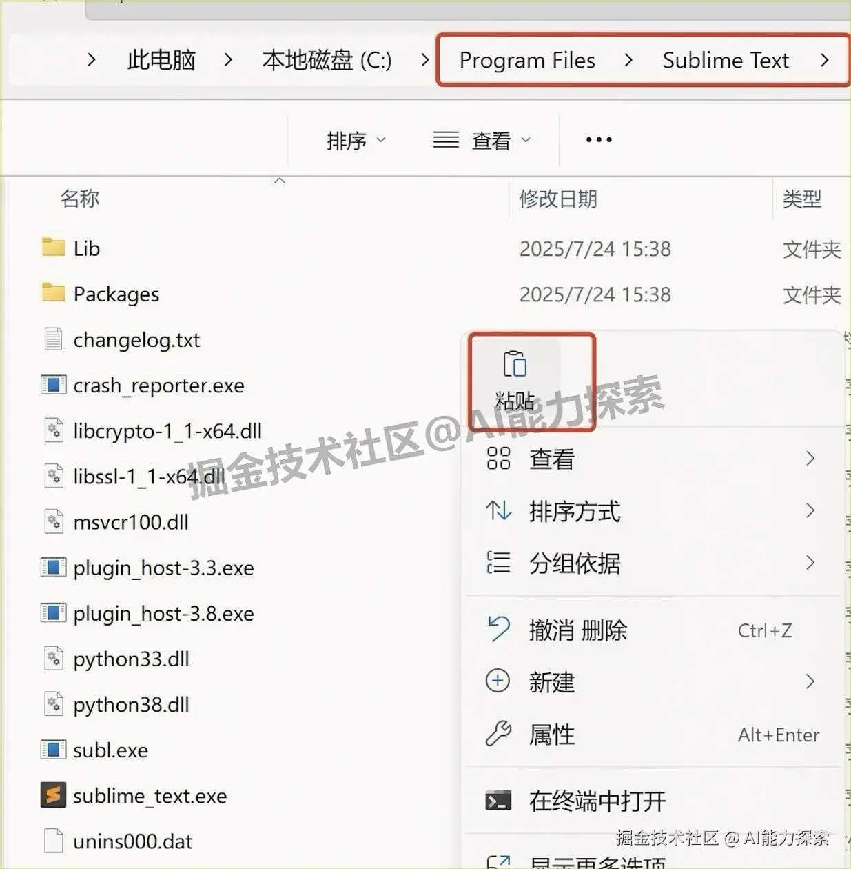 Sublime Text 4 下载安装激活汉化教程全攻略：小白也能看懂的实操指南