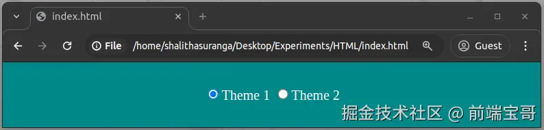 使用纯 CSS 创建的交互式主题选择器