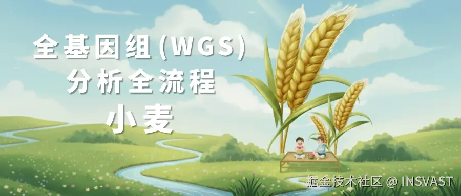 全基因组 分析全流程.png