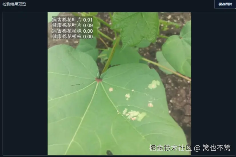 image-20260113011350975