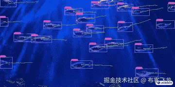 Fish Tracking