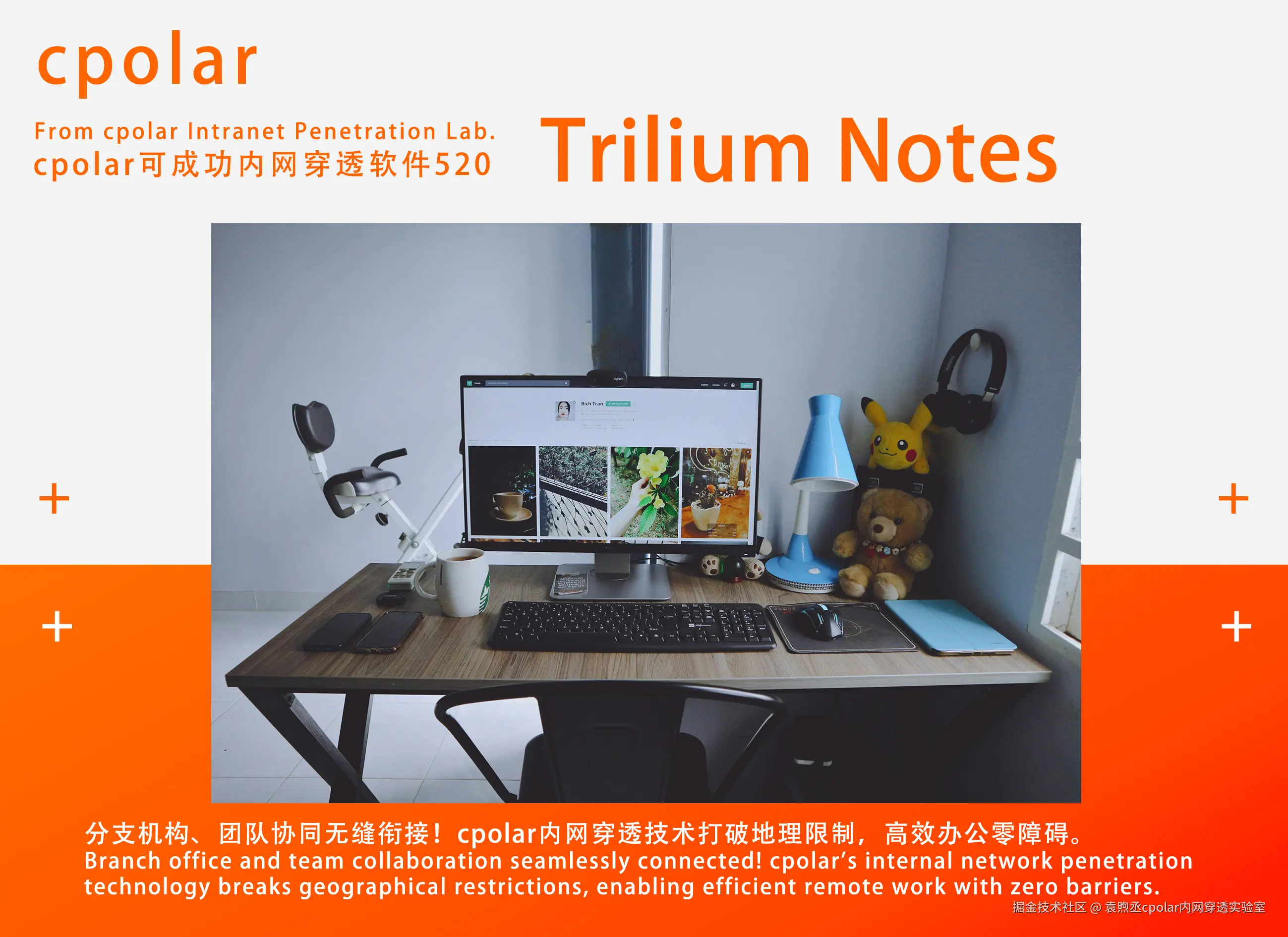 NO.520 Trilium Notes-04.jpg