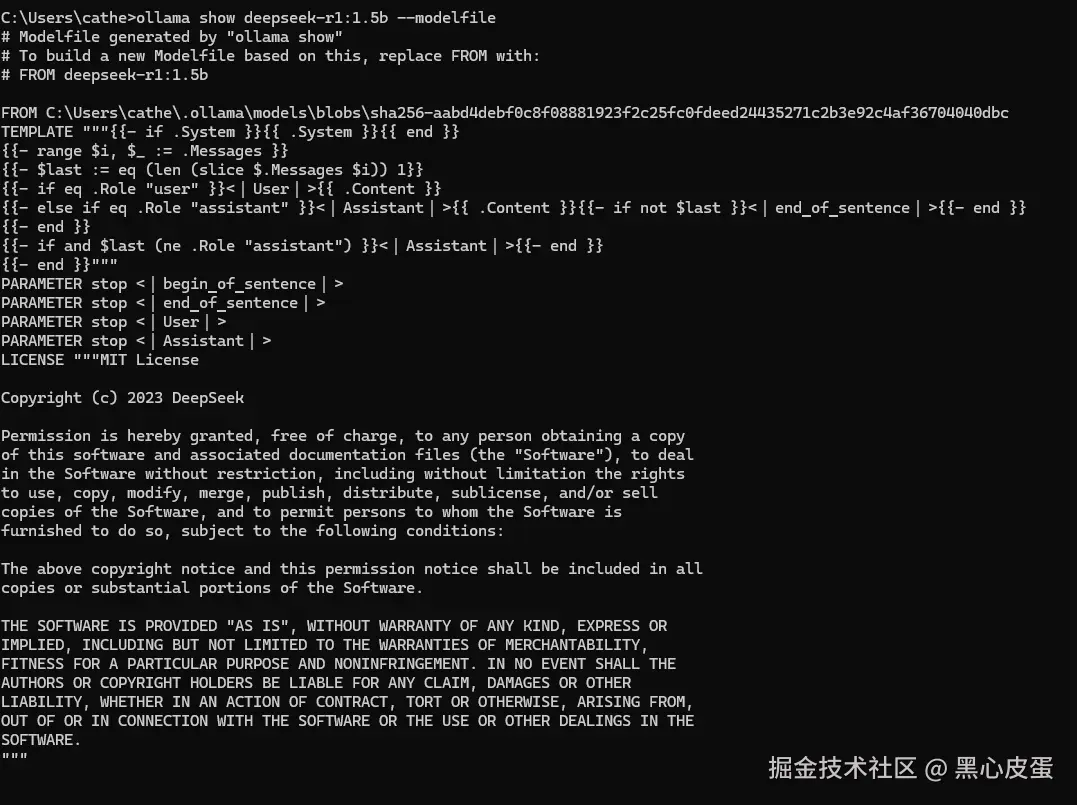 image-20250205225918620.png