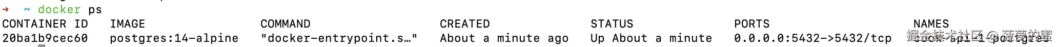 docker ps 的结果.png