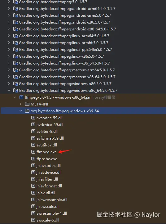 自包含ffmpeg.png
