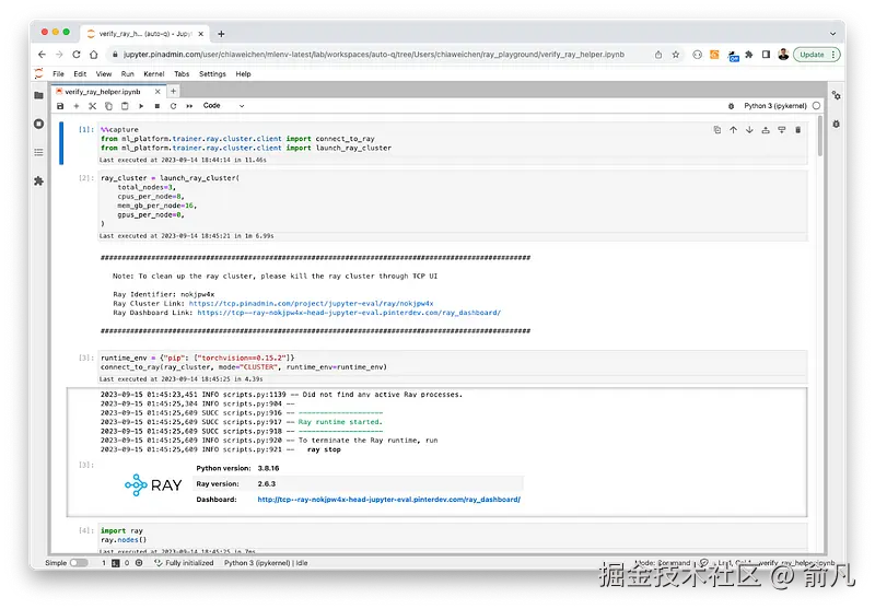从 Jupyterhub Pod 启动并连接 Ray 集群