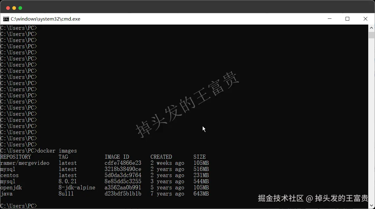 image-20240815192813357