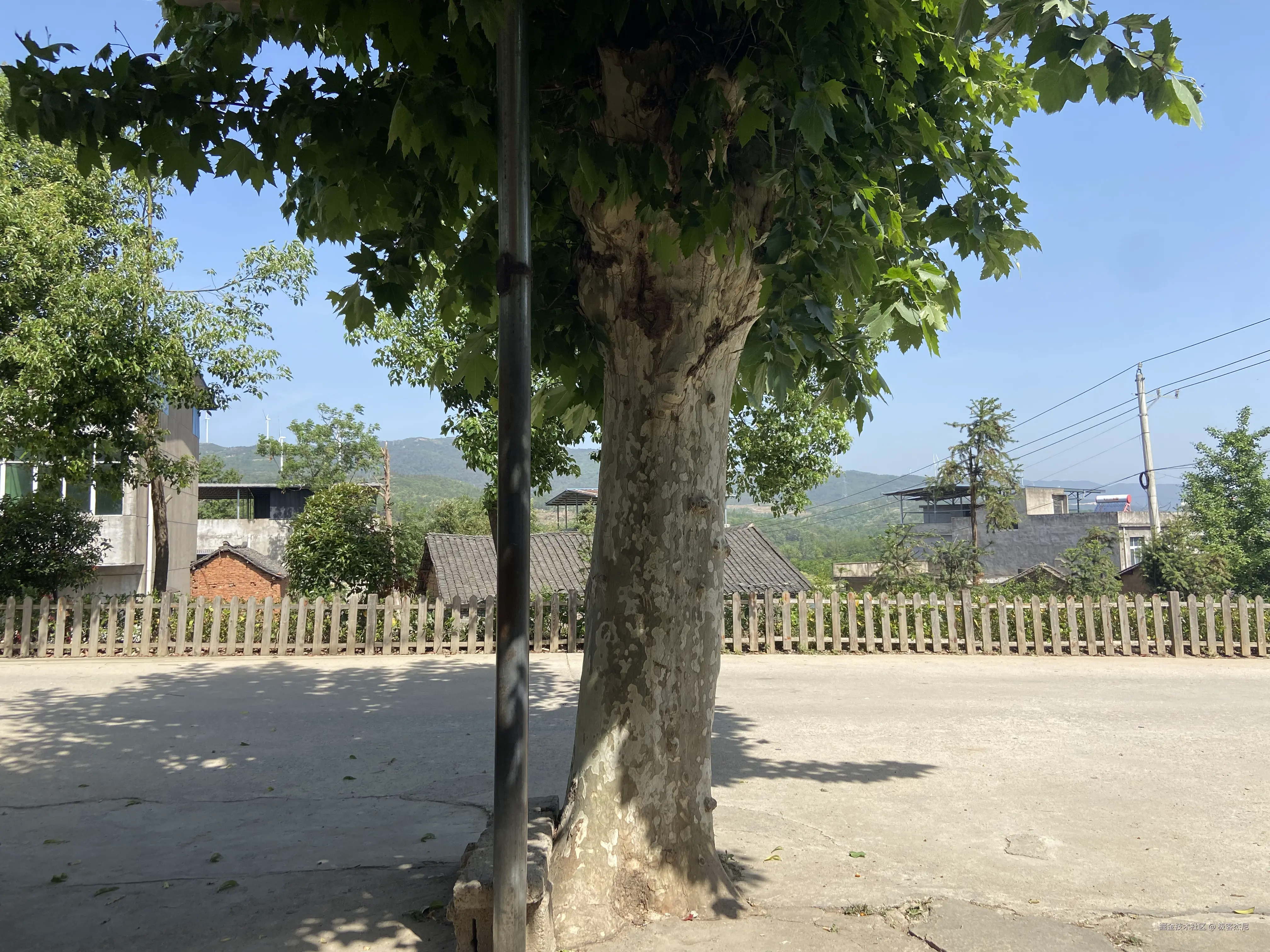IMG_9804.heic