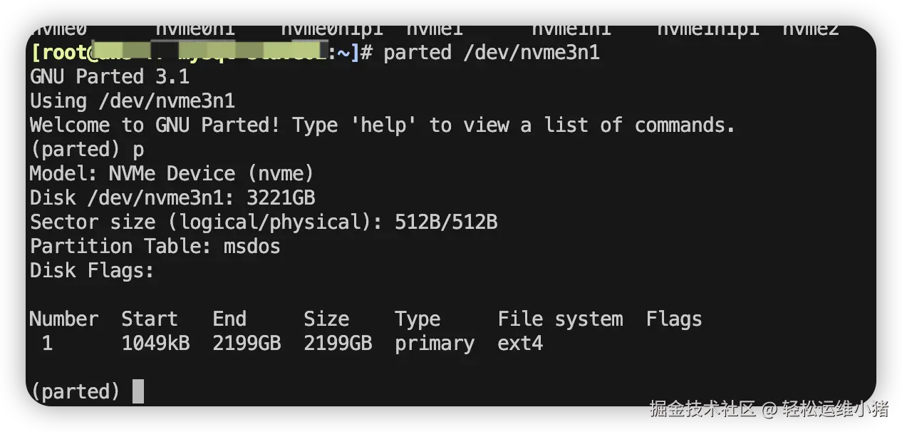 parted 查看 nvme3n1 分区