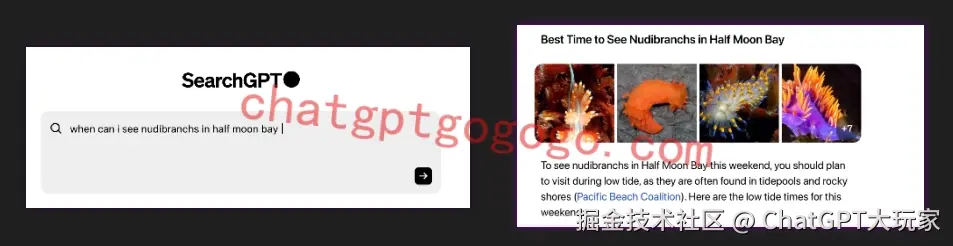 SearchGPT搜索使用体验