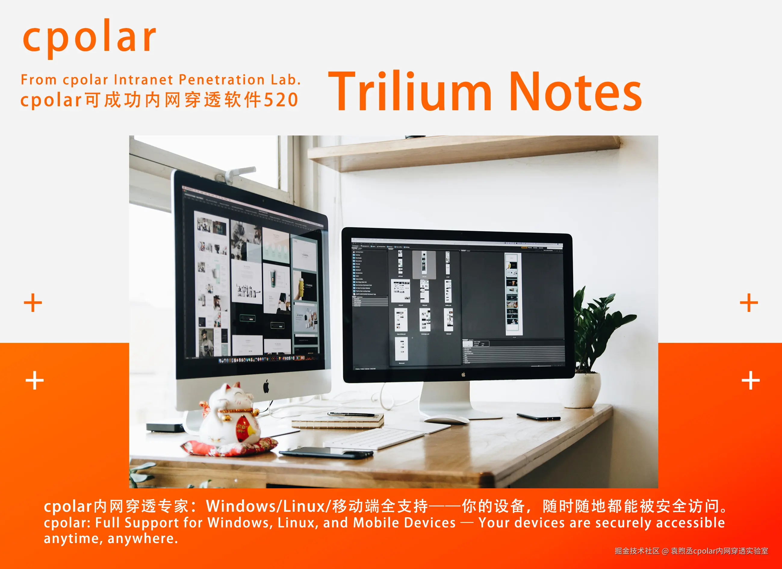 NO.520 Trilium Notes-02.jpg