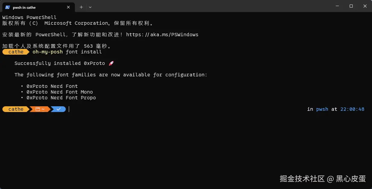 image-20250409220108424