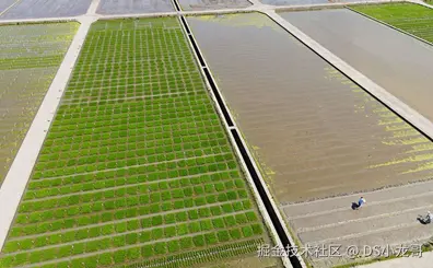 image-20250619095124616