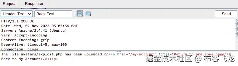 图 8.26 – 成功上传 exploit.php