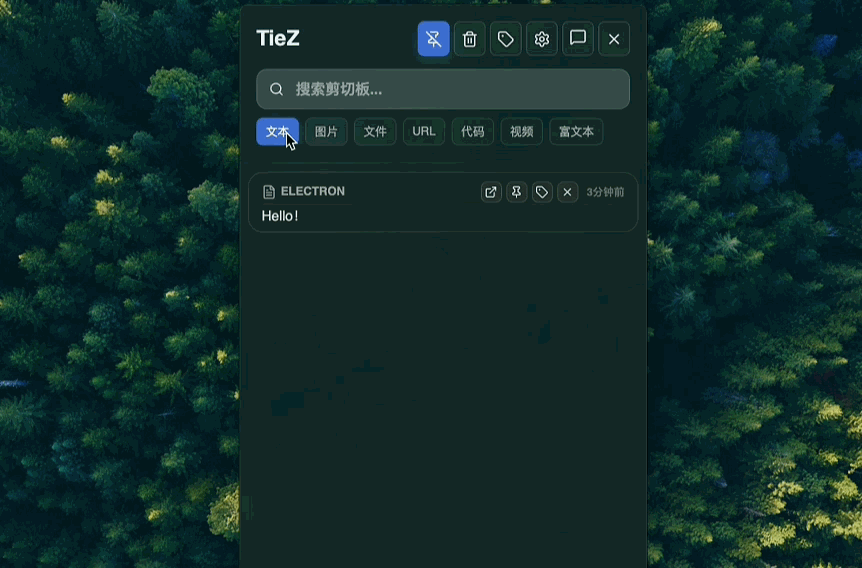 TieZ 分类支持