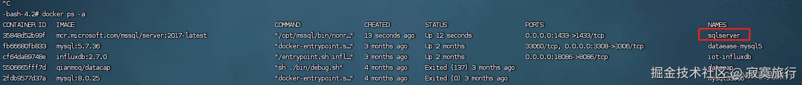 docker查看状态