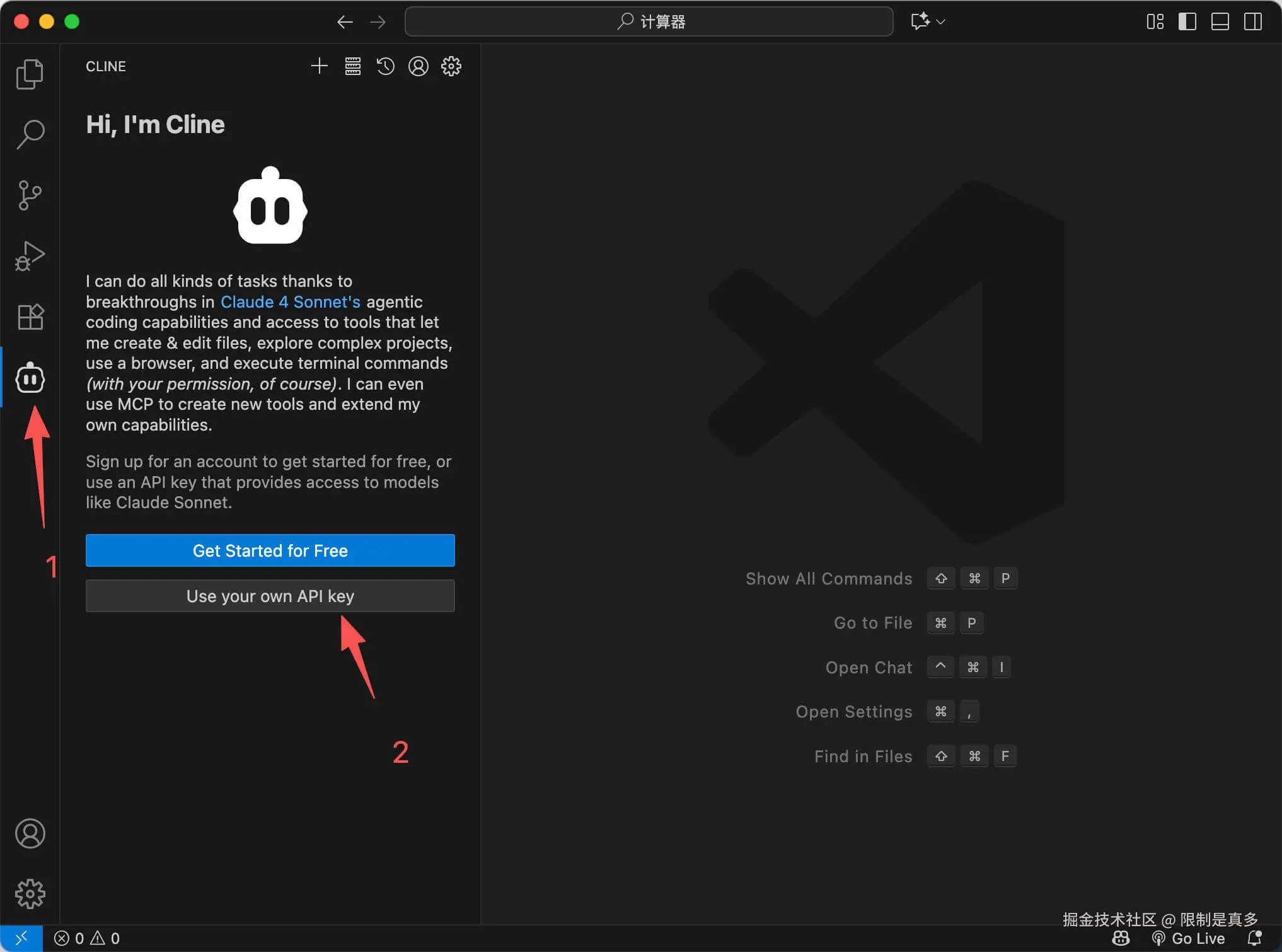 点击使用自己的 API Key