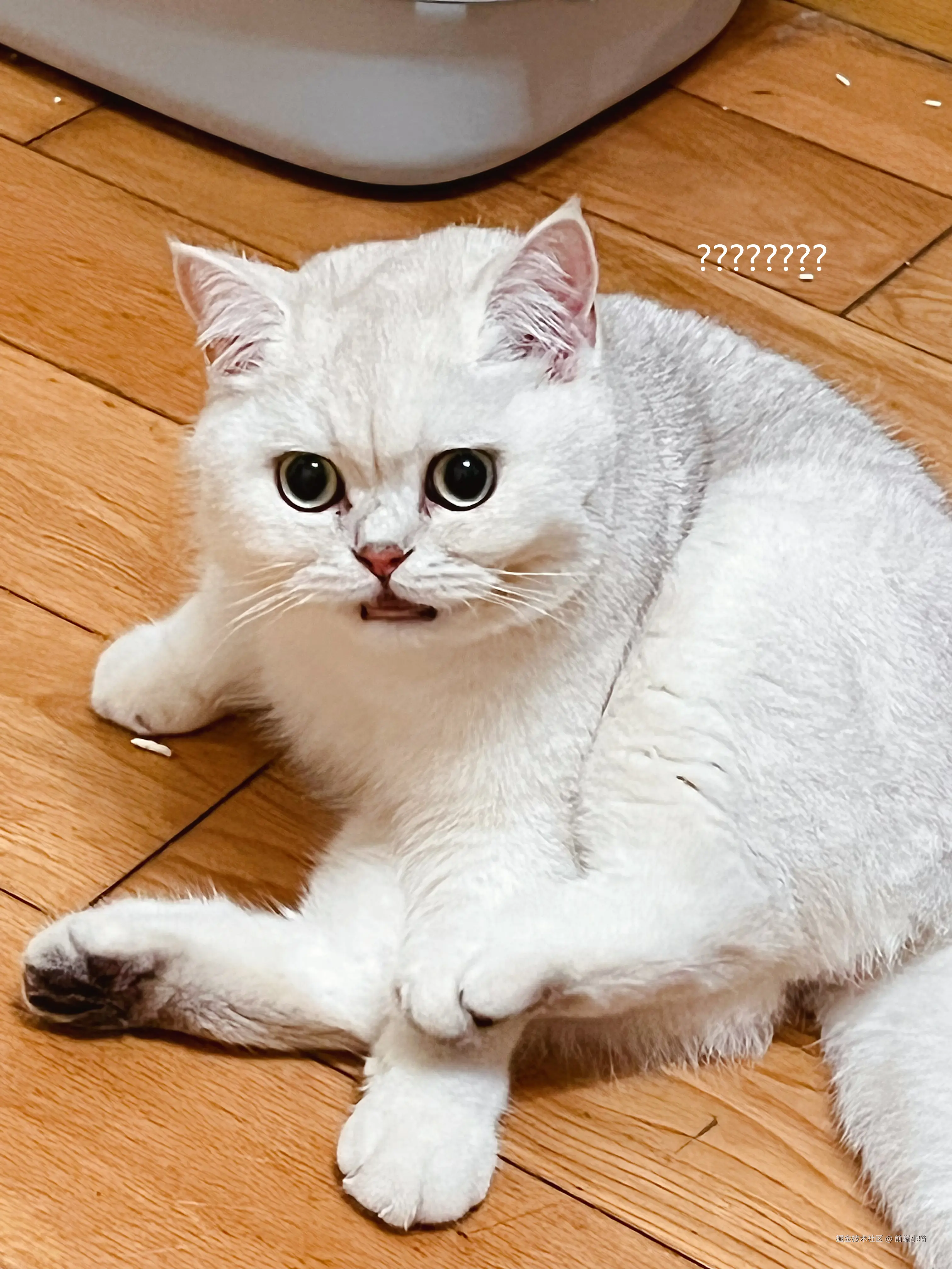 209b158b5ce202218ef9216a090d5aa.png